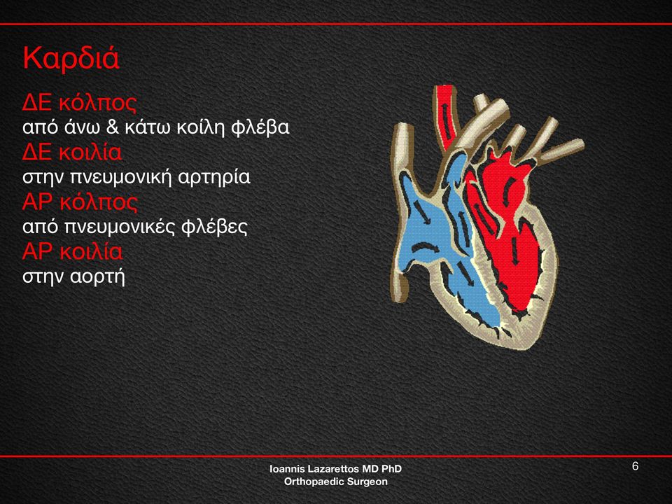 πνευμονική αρτηρία ΑΡ κόλπος από