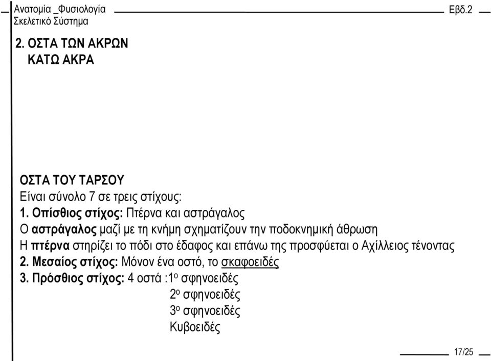 άθρωση Η πτέρνα στηρίζει το πόδι στο έδαφος και επάνω της προσφύεται ο Αχίλλειος τένοντας 2.