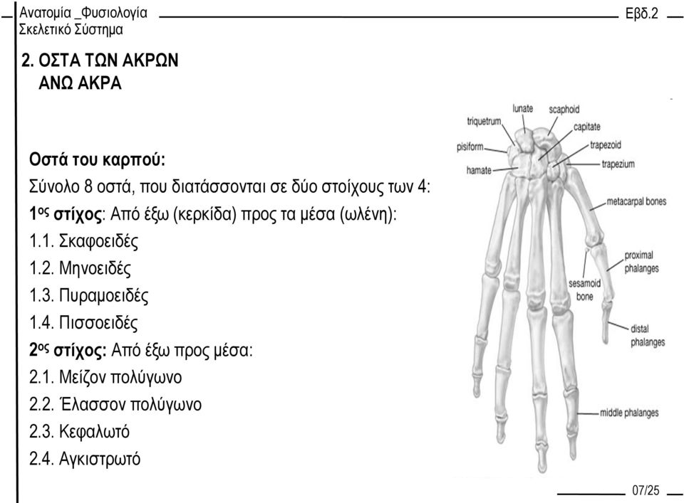 2. Μηνοειδές 1.3. Πυραμοειδές 1.4.