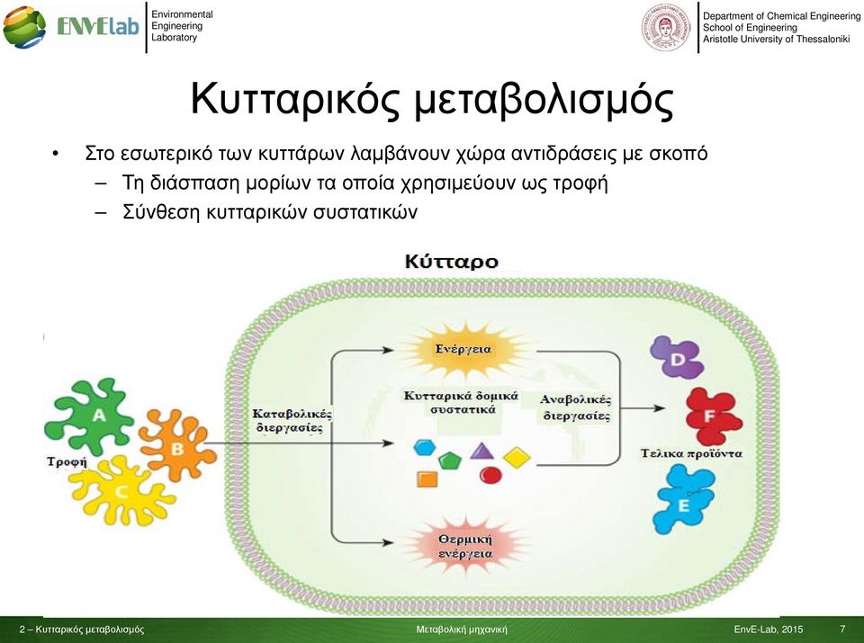 σκοπό Τη διάσπαση μορίων τα οποία