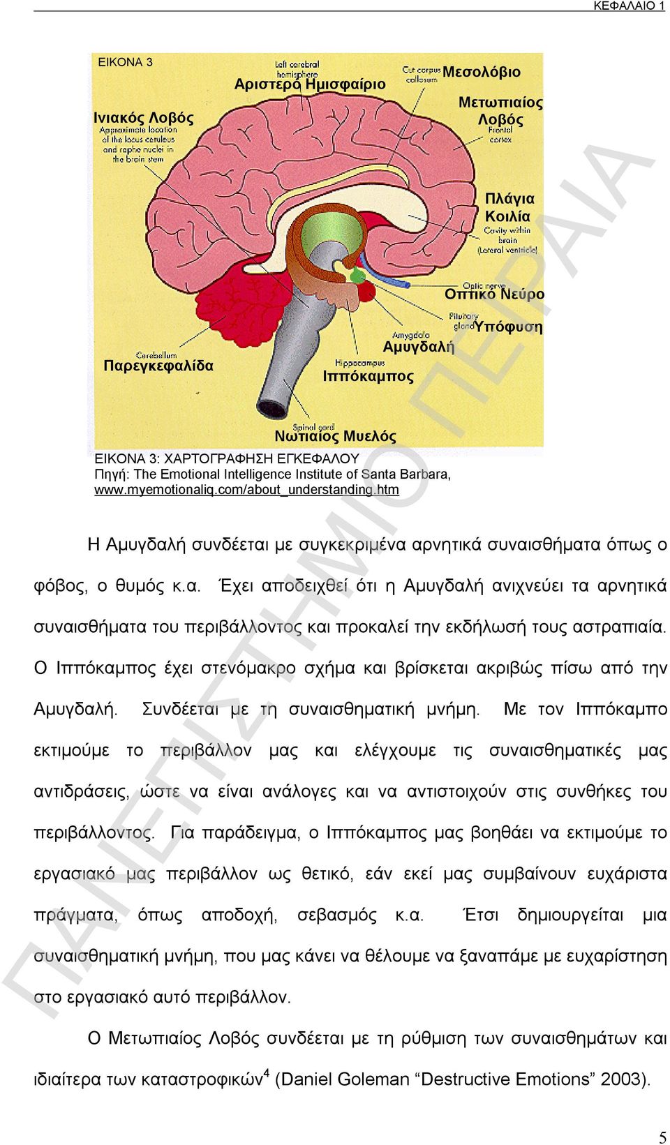 Με τον Ιππόκαμπο εκτιμούμε το περιβάλλον μας και ελέγχουμε τις συναισθηματικές μας αντιδράσεις, ώστε να είναι ανάλογες και να αντιστοιχούν στις συνθήκες του περιβάλλοντος.