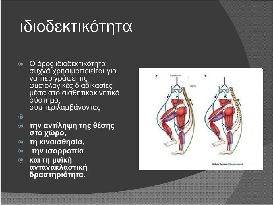 αισθητικοκινητικό σύστημα, συμπεριλαμβάνοντας την αντίληψη της