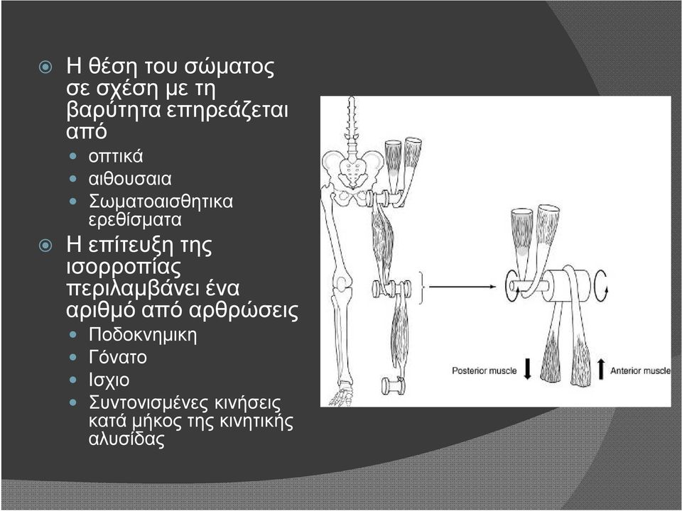 ισορροπίας περιλαμβάνει ένα αριθμό από αρθρώσεις Ποδοκνημικη