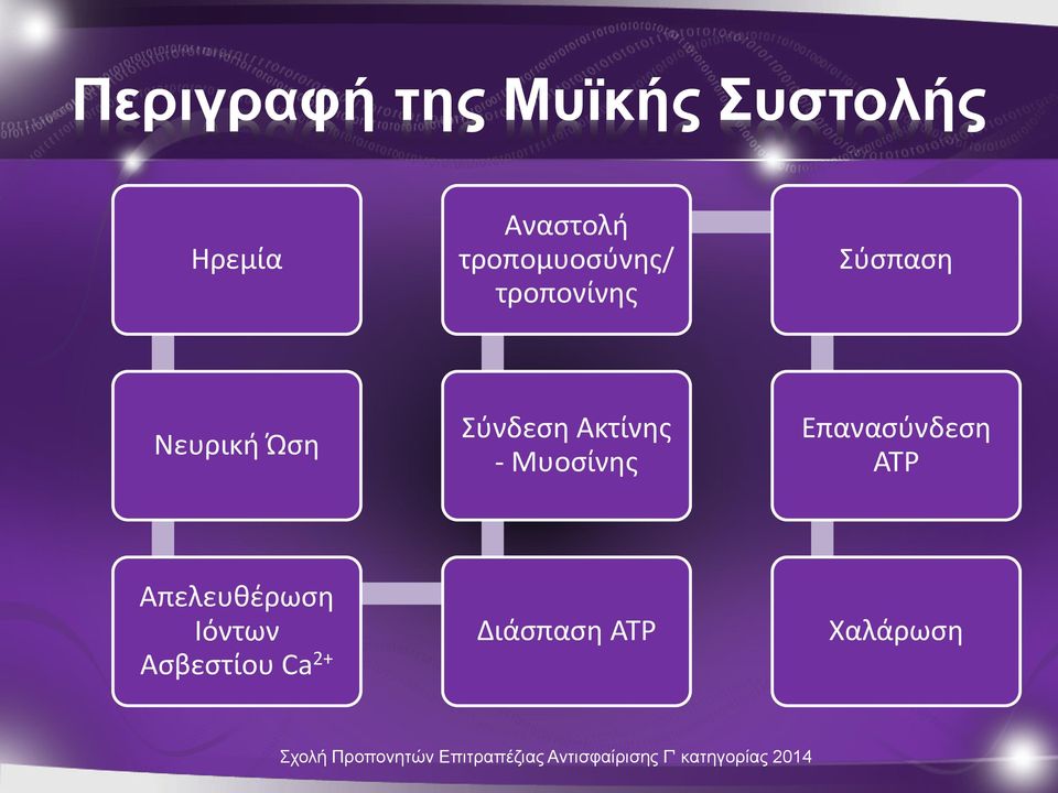 Σύνδεση Ακτίνης - Μυοσίνης Επανασύνδεση ΑΤΡ