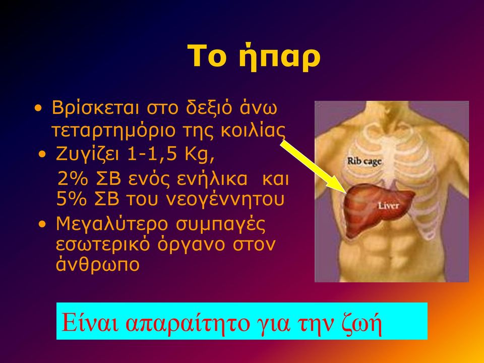 5% ΣΒ του νεογέννητου Μεγαλύτερο συμπαγές