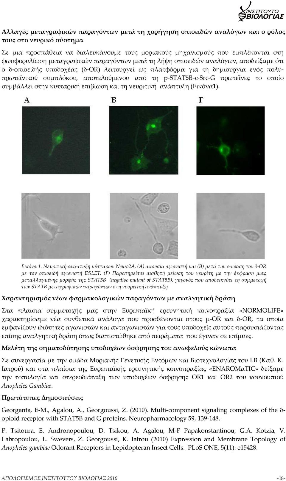 p-stat5b-c-src-g πρωτεΐνες το οποίο συμβάλλει στην κυτταρική επιβίωση και τη νευριτική ανάπτυξη (Εικόνα1). Eικόνα 1.