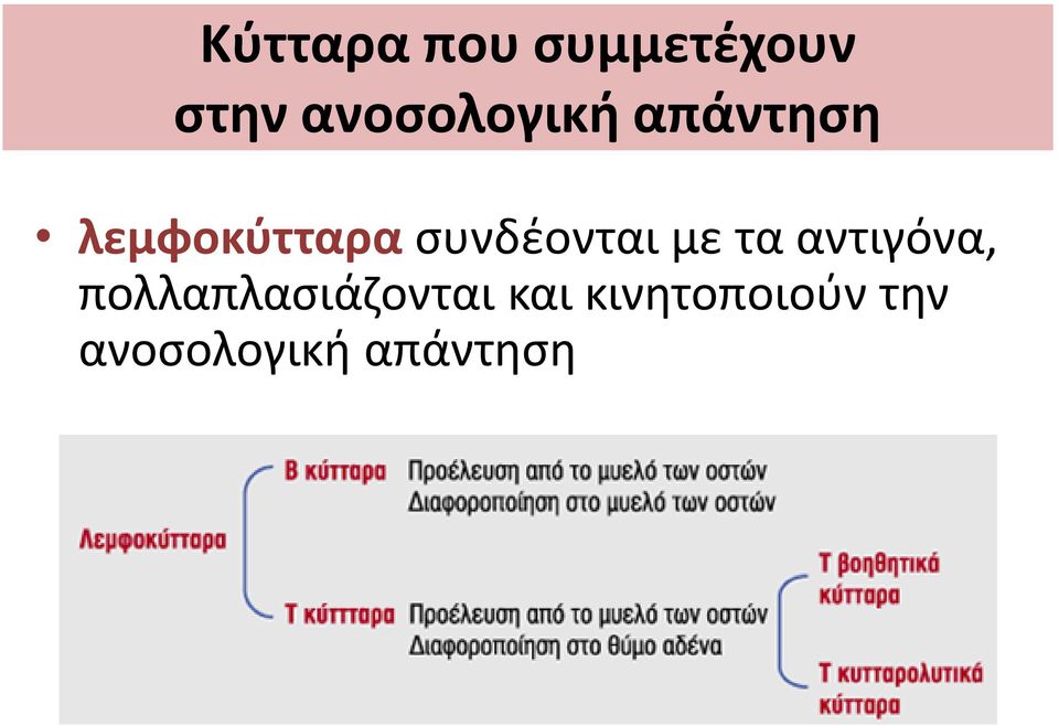 συνδέονται με τα αντιγόνα,