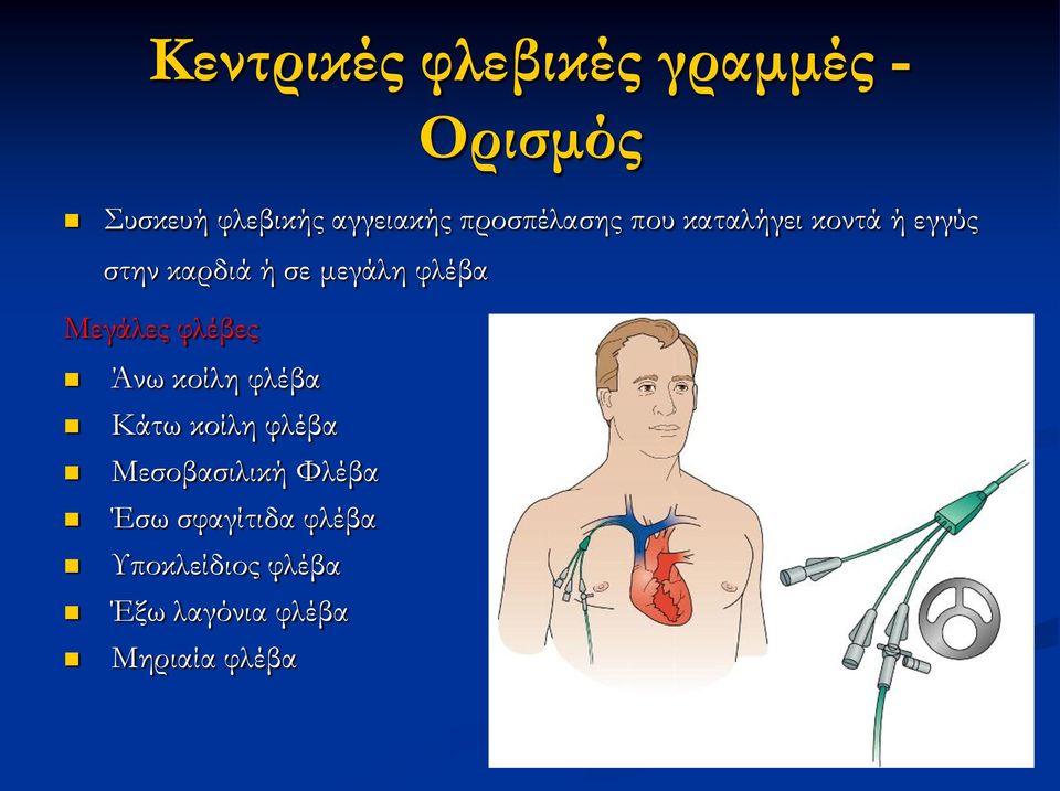 φλέβα Μεγάλες φλέβες Άνω κοίλη φλέβα Κάτω κοίλη φλέβα Μεσοβασιλική