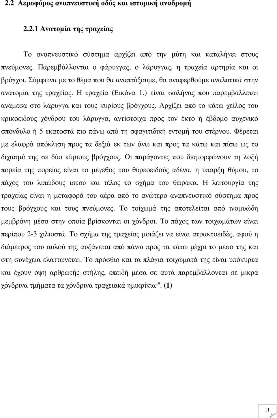 ) είναι σωλήνας που παρεµβάλλεται ανάµεσα στο λάρυγγα και τους κυρίους βρόγχους.