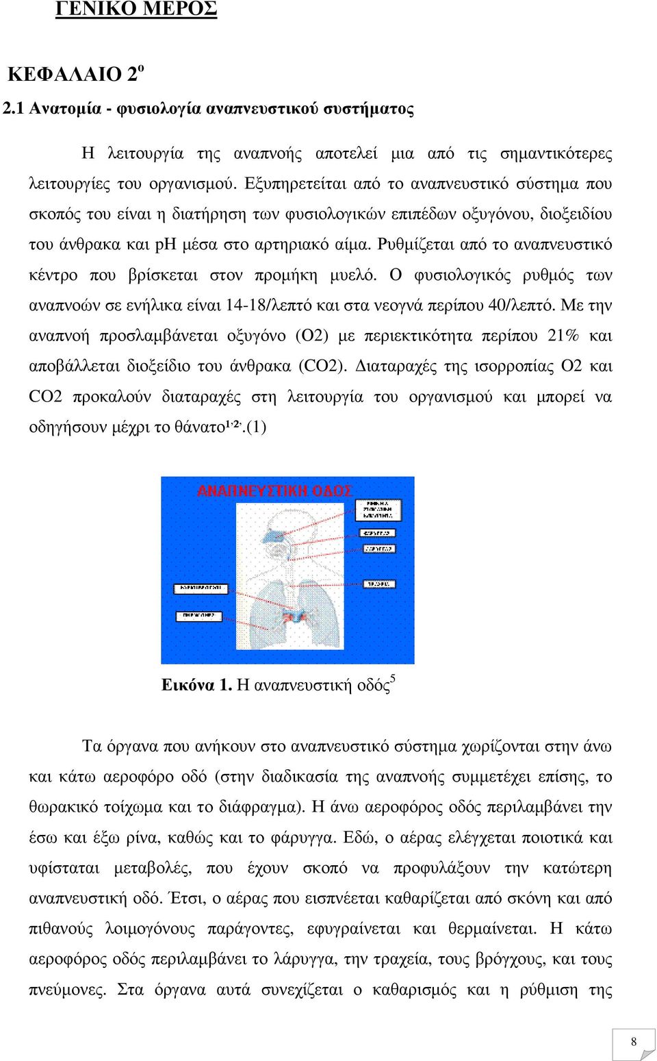 Ρυθµίζεται από το αναπνευστικό κέντρο που βρίσκεται στον προµήκη µυελό. Ο φυσιολογικός ρυθµός των αναπνοών σε ενήλικα είναι 14-18/λεπτό και στα νεογνά περίπου 40/λεπτό.