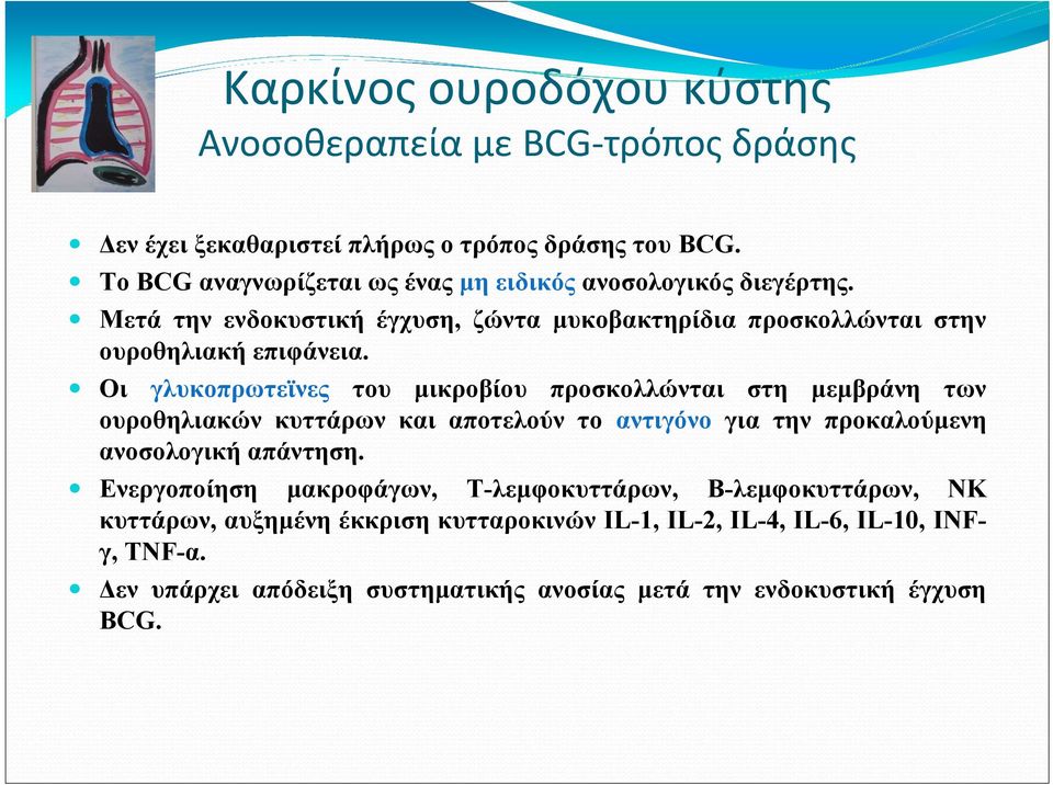 Οι γλυκοπρωτεϊνες του µικροβίου προσκολλώνται στη µεµβράνη των ουροθηλιακών κυττάρων και αποτελούν το αντιγόνο για την προκαλούµενη ανοσολογική απάντηση.