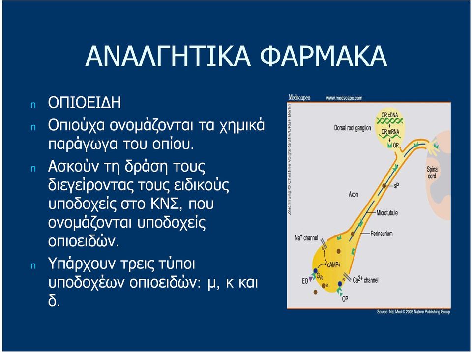 Ασκούν τη δράση τους διεγείροντας τους ειδικούς υποδοχείς