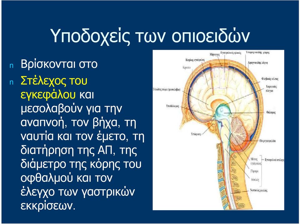 ναυτία και τον έμετο, τη διατήρηση της ΑΠ, της διάμετρο