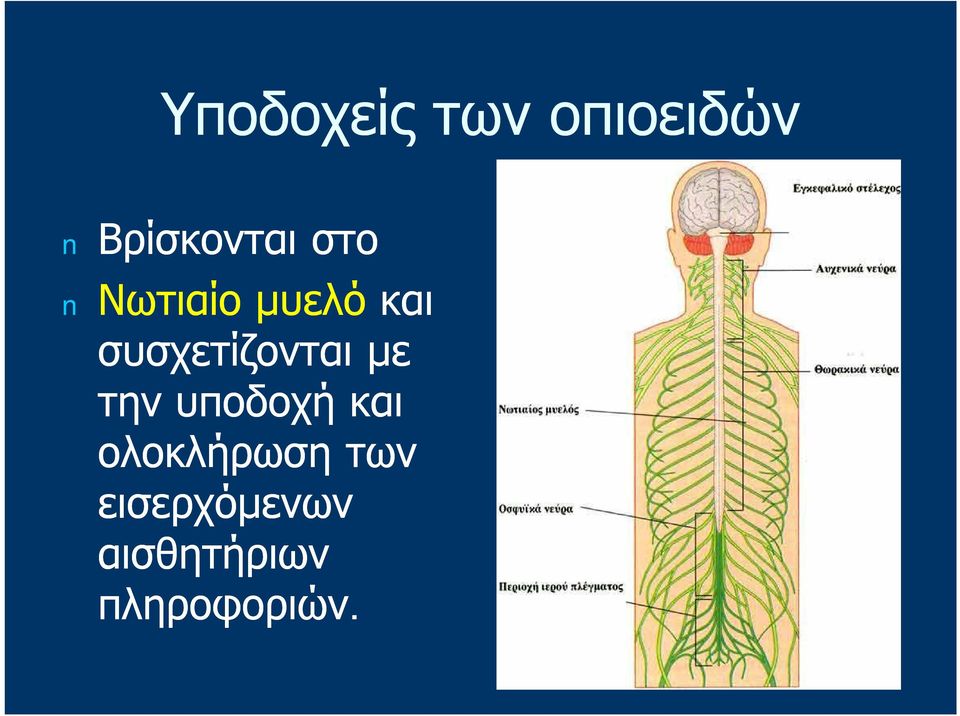 με την υποδοχή και ολοκλήρωση των