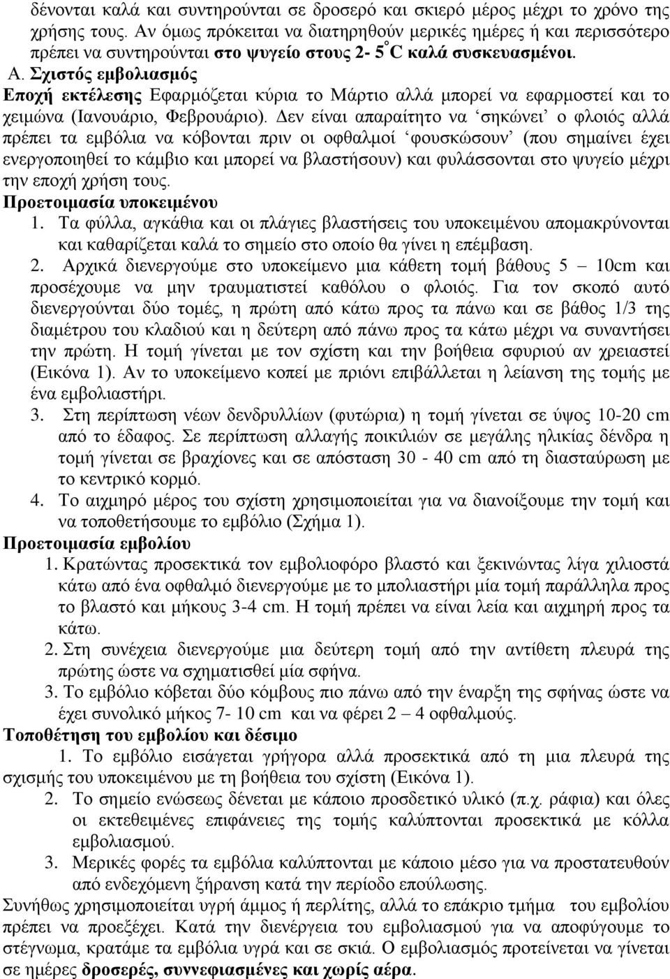 Σχιστός εμβολιασμός Εποχή εκτέλεσης Εφαρμόζεται κύρια το Μάρτιο αλλά μπορεί να εφαρμοστεί και το χειμώνα (Ιανουάριο, Φεβρουάριο).