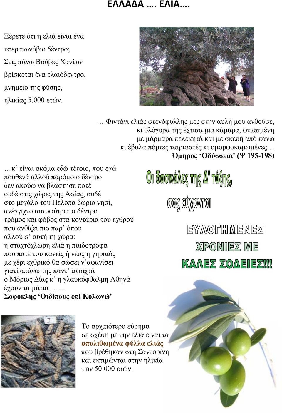 φόβος στα κοντάρια του εχθρού που ανθίζει πιο παρ όπου άλλού σ αυτή τη χώρα: η σταχτόχλωρη ελιά η παιδοτρόφα που ποτέ του κανείς ή νέος ή γηραιός με χέρι εχθρικό θα σώσει ν αφανίσει γιατί απάνω της