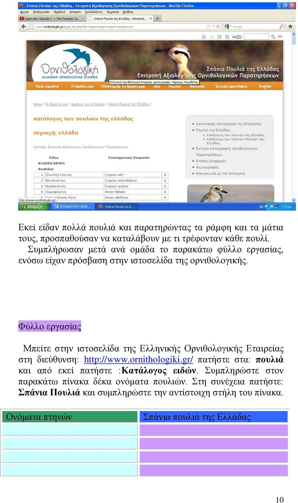 Φύλλο εργασίας Μπείτε στην ιστοσελίδα της Ελληνικής Ορνιθολογικής Εταιρείας στη διεύθυνση: http://www.ornithologiki.