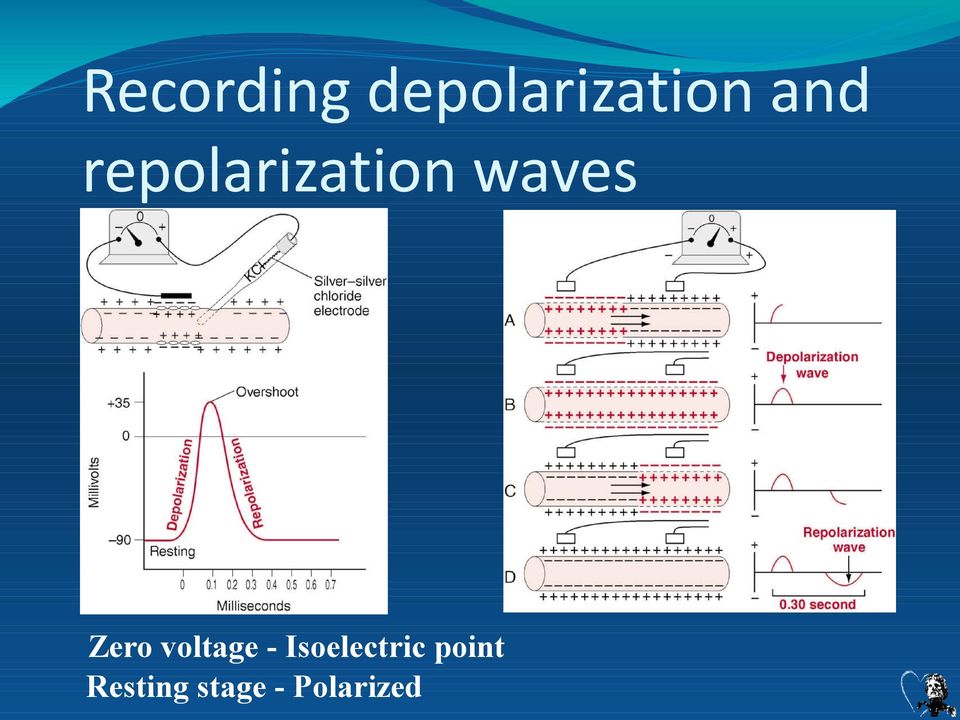 Zero voltage - Isoelectric