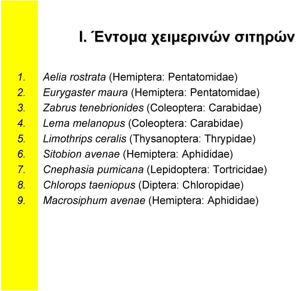 Lema melanopus (Coleoptera: Carabidae) 5. Limothrips ceralis (Thysanoptera: Thrypidae) 6.