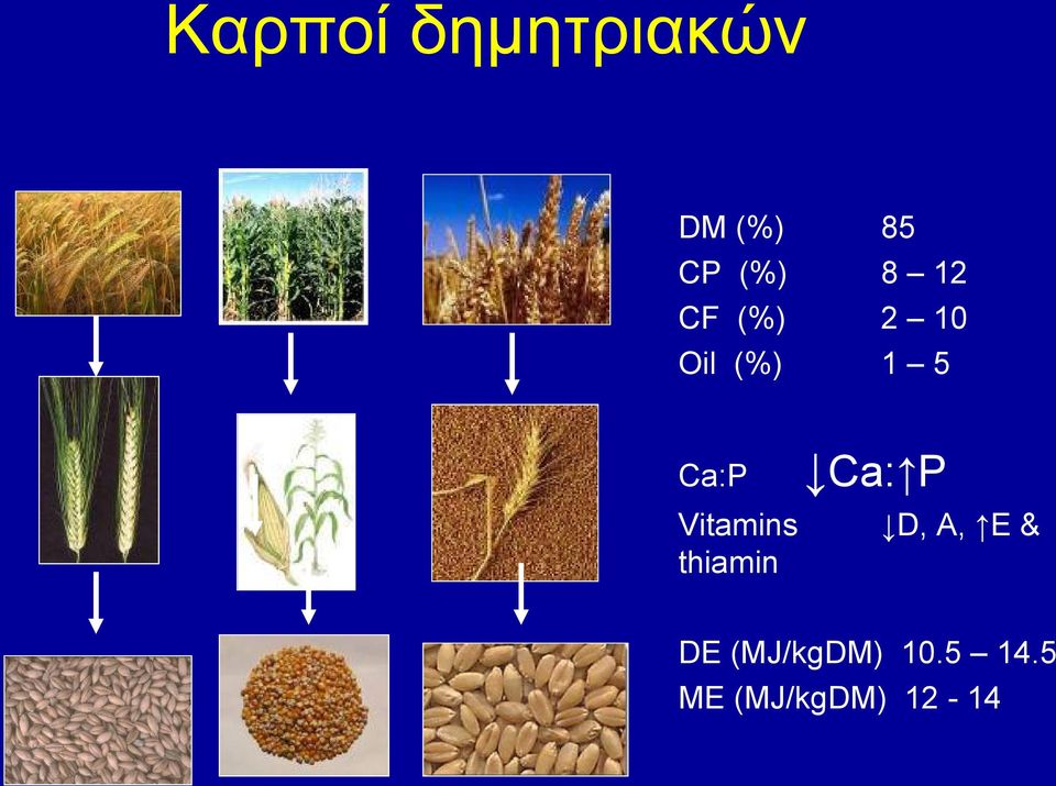 Ca: P Vitamins D, A, E & thiamin DE