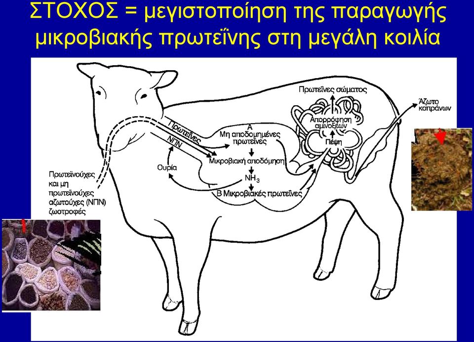 παραγωγής