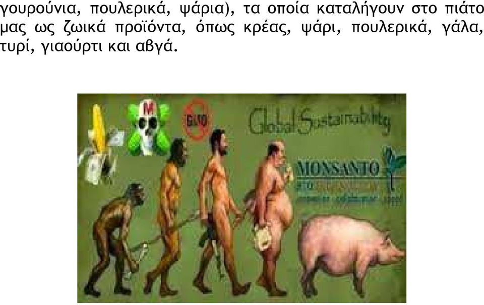 ζωικά προϊόντα, όπως κρέας, ψάρι,