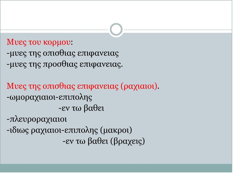 Μυες της οπισθιας επιφανειας (ραχιαιοι).