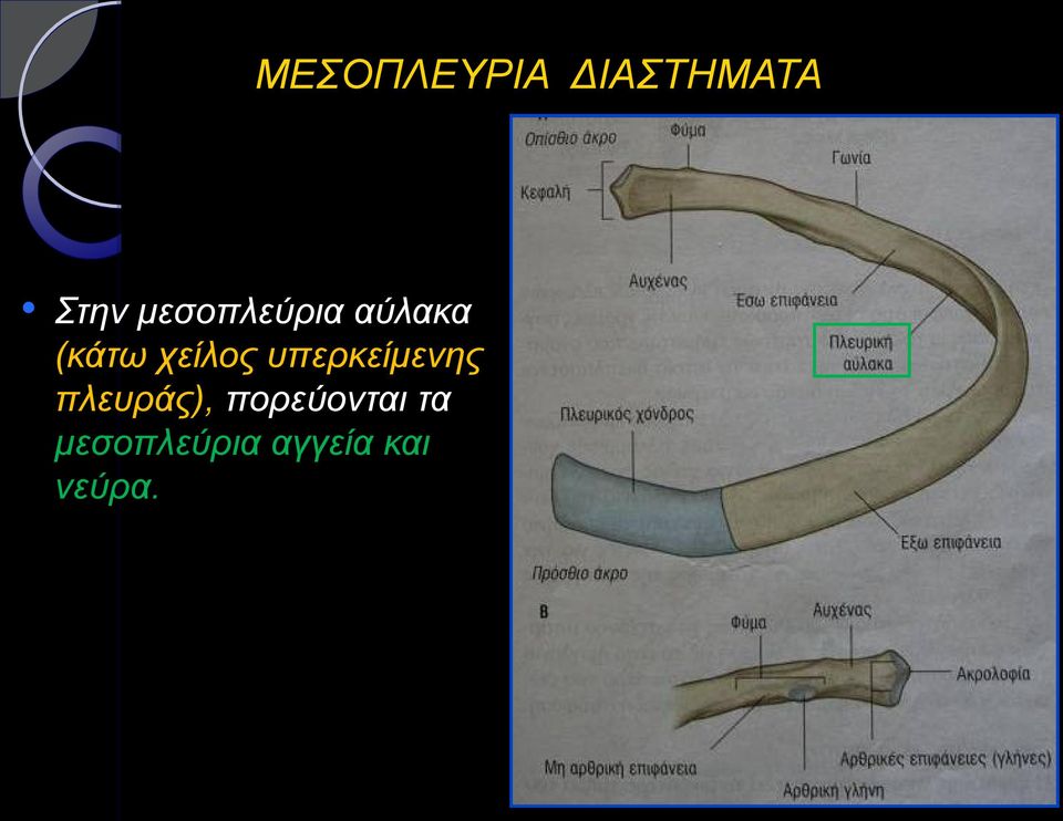 υπερκείμενης πλευράς),