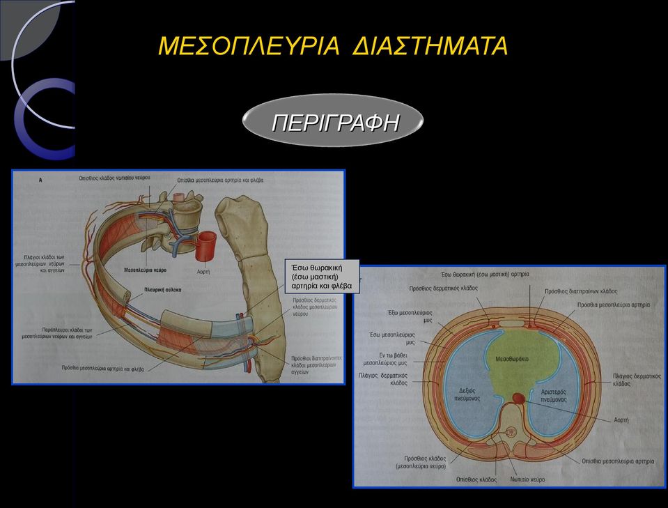 ΠΕΡΙΓΡΑΦΗ Έσω