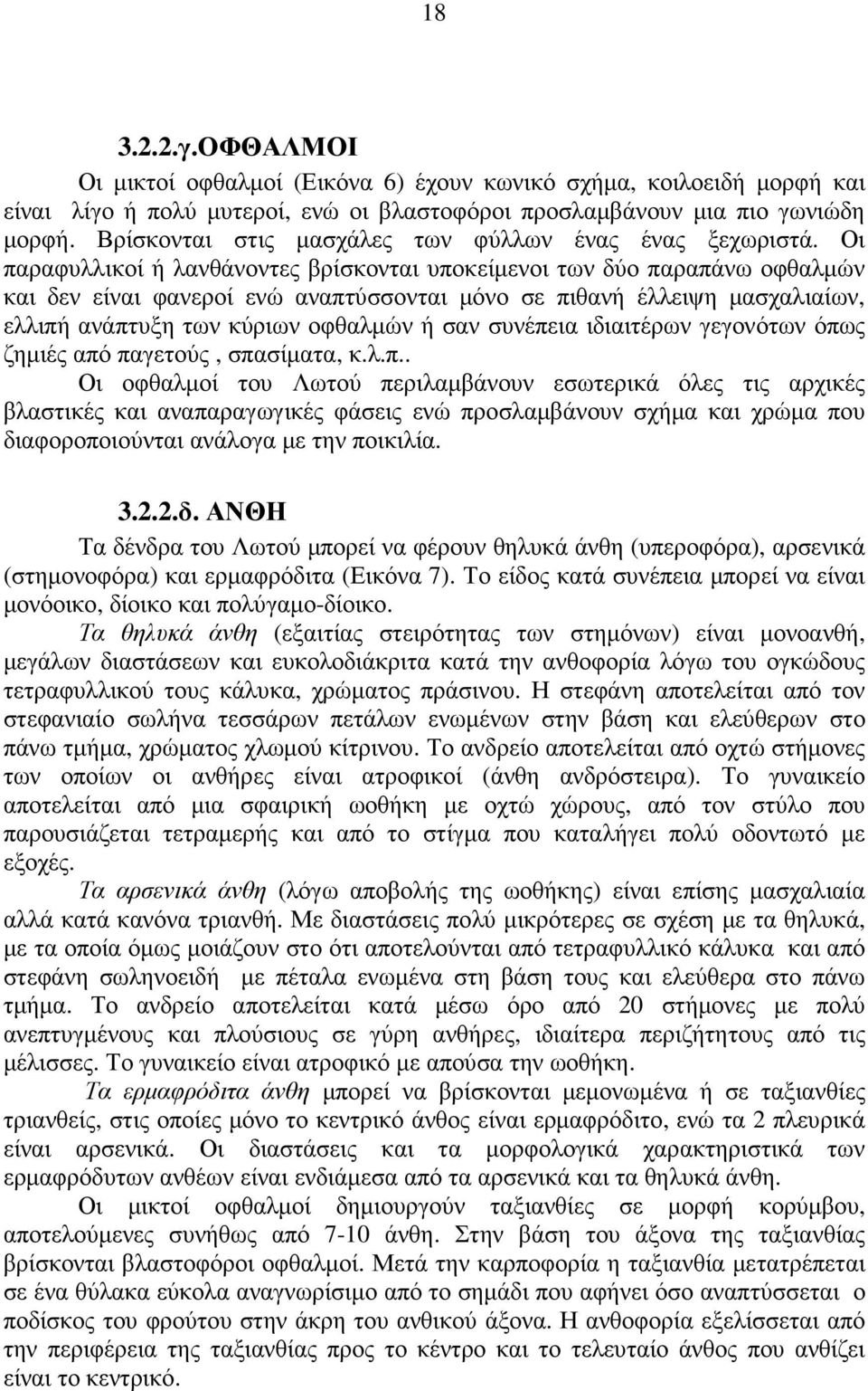 Οι παραφυλλικοί ή λανθάνοντες βρίσκονται υποκείµενοι των δύο παραπάνω οφθαλµών και δεν είναι φανεροί ενώ αναπτύσσονται µόνο σε πιθανή έλλειψη µασχαλιαίων, ελλιπή ανάπτυξη των κύριων οφθαλµών ή σαν