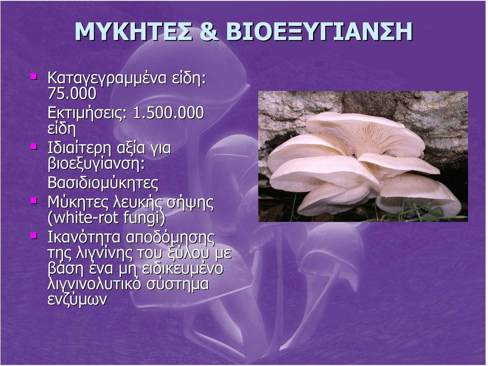 Μύκητες λευκής σήψης (white-rot fungi) Ικανότητα αποδόμησης της