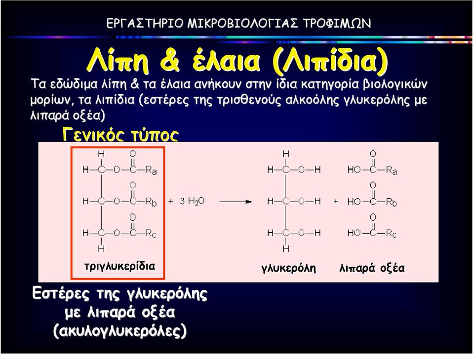 αλκοόλης γλυκερόλης µε λιπαρά οξέα) Γενικός τύπος τριγλυκερίδια