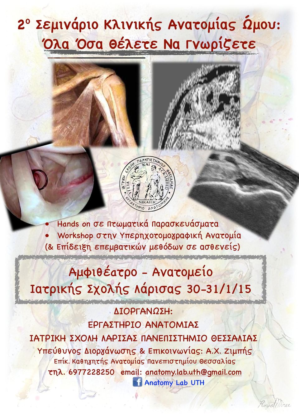 30-31/1/15 ΔΙΟΡΓΑΝΩΩΣΗ: ΕΡΓΑΣΤΗΡΙΟ ΑΝΑΤΟΜΙΑΣ ΙΑΤΡΙΚΗ ΣΧΟΛΗ ΛΑΡΙΣΑΣ ΠΑΝΕΠΙΣΤΗΜΙΟ ΘΕΣΣΑΛΙΑΣ Υπεύθυνος Διοργάνωσης &