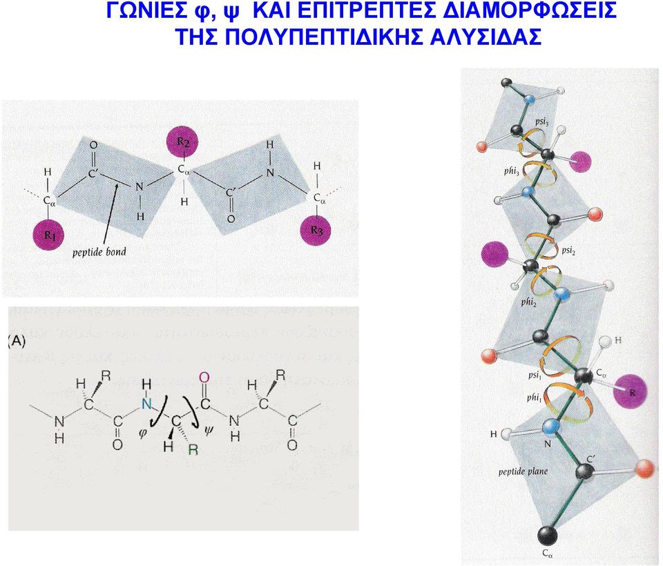 ΔΙΑΜΟΡΦΩΣΕΙΣ ΤΗΣ