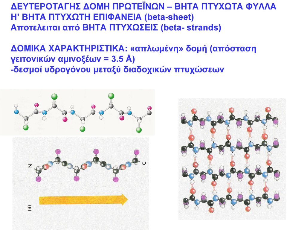 strands) ΔΟΜΙΚΑ ΧΑΡΑΚΤΗΡΙΣΤΙΚΑ: «απλωμένη» δομή (απόσταση