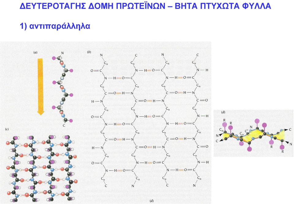 ΒΗΤΑ ΠΤΥΧΩΤΑ