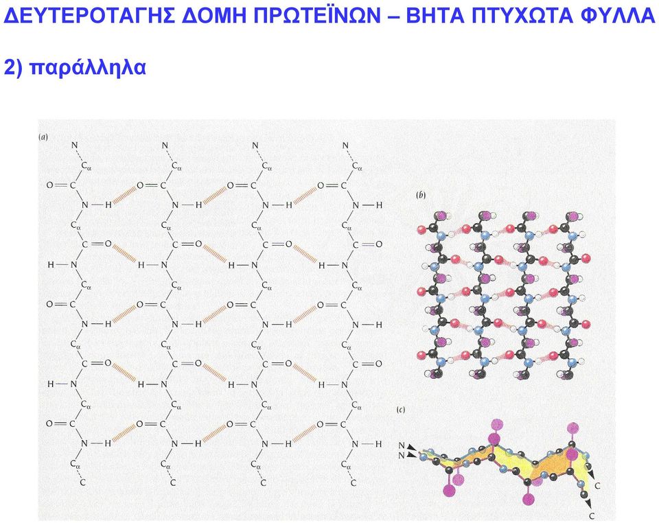 ΒΗΤΑ ΠΤΥΧΩΤΑ