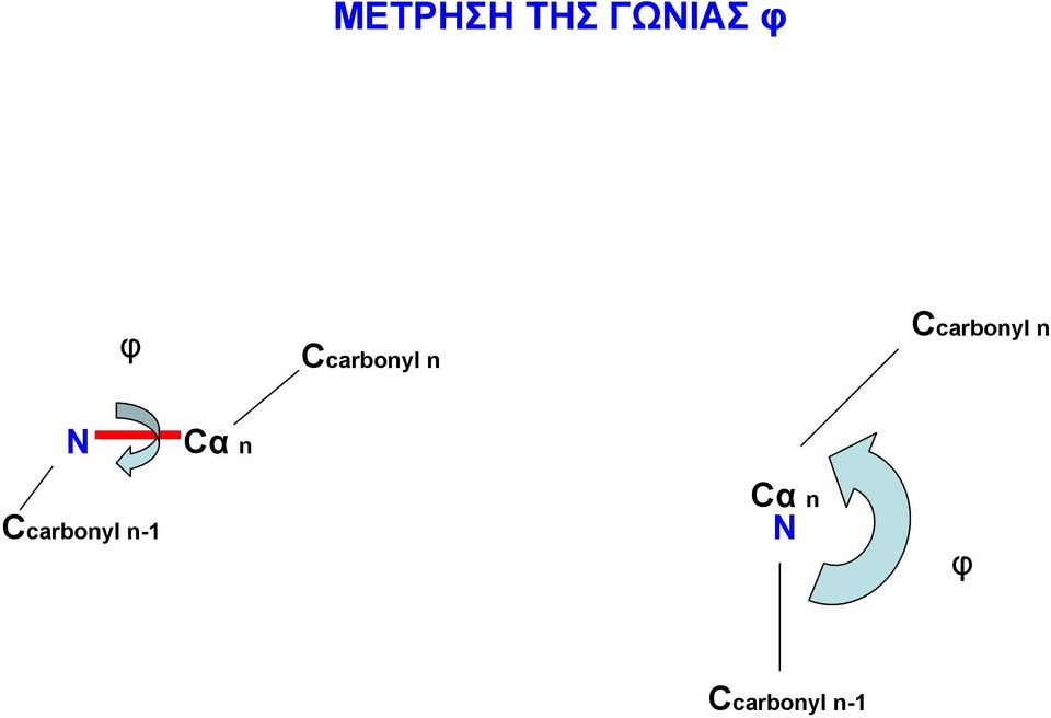 n N Cα n Ccarbonyl n-1