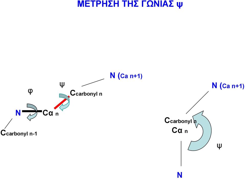 (Ca n+1) N Cα n