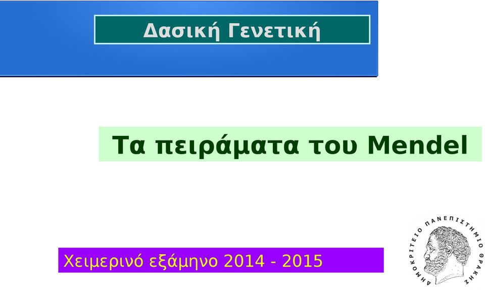 Mendel Χειμερινό