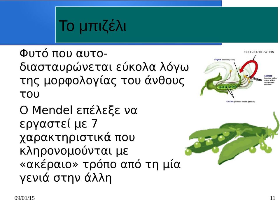 εργαστεί με 7 χαρακτηριστικά που κληρονομούνται με