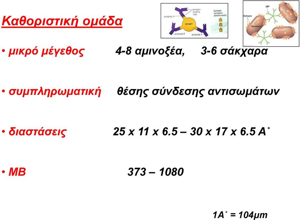 θέσης σύνδεσης αντισωμάτων διαστάσεις 25