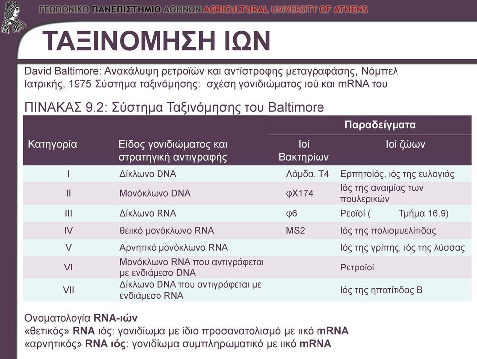φχ174 Ιός της αναιμίας των πουλερικών III Δίκλωνο RNA φ6 Ρεοϊοί ( Τμήμα 16.