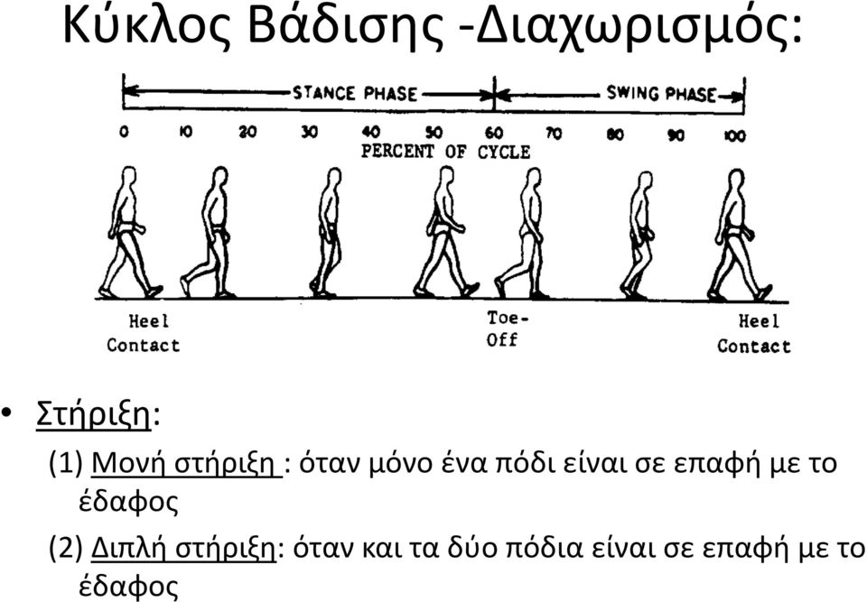 επαφή με το έδαφος (2) Διπλή στήριξη: όταν