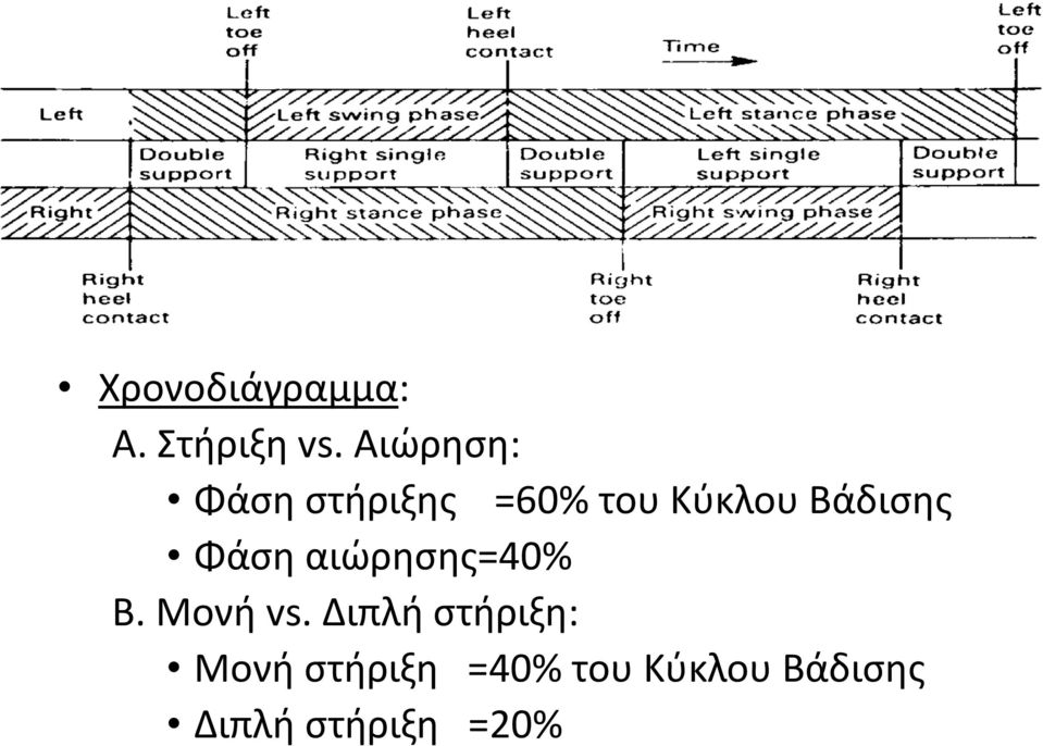 Βάδισης Φάση αιώρησης=40% B. Μονή vs.