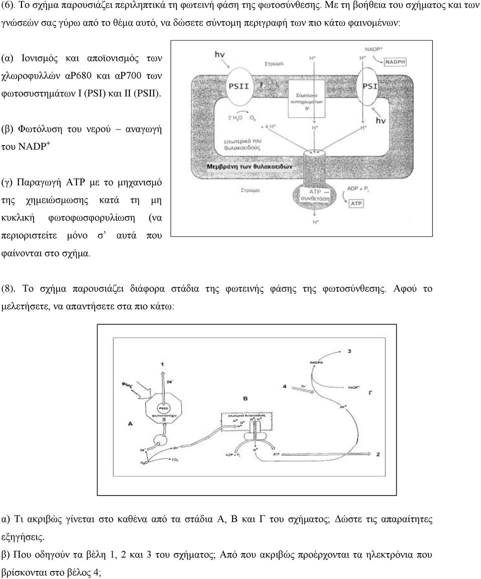 φωτοσυστημάτων I (PSI) και II (PSII).