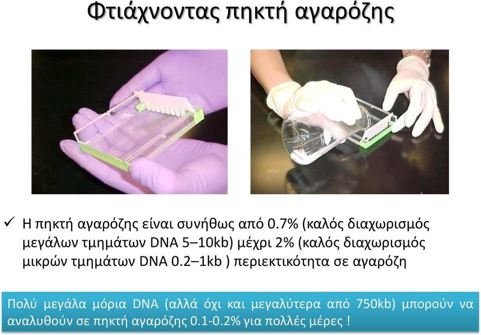 μικρών τμημάτων DNA 0.
