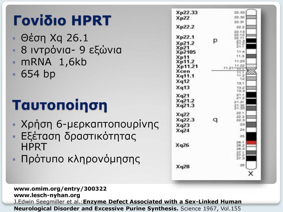 δραστικότητας ΗPRT Πρότυπο κληρονόμησης www.omim.org/entry/300322 www.lesch-nyhan.