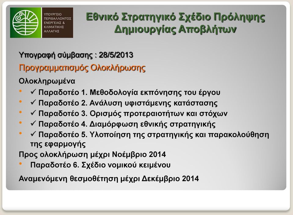 Ορισμός προτεραιοτήτων και στόχων Παραδοτέο 4. Διαμόρφωση εθνικής στρατηγικής Παραδοτέο 5.