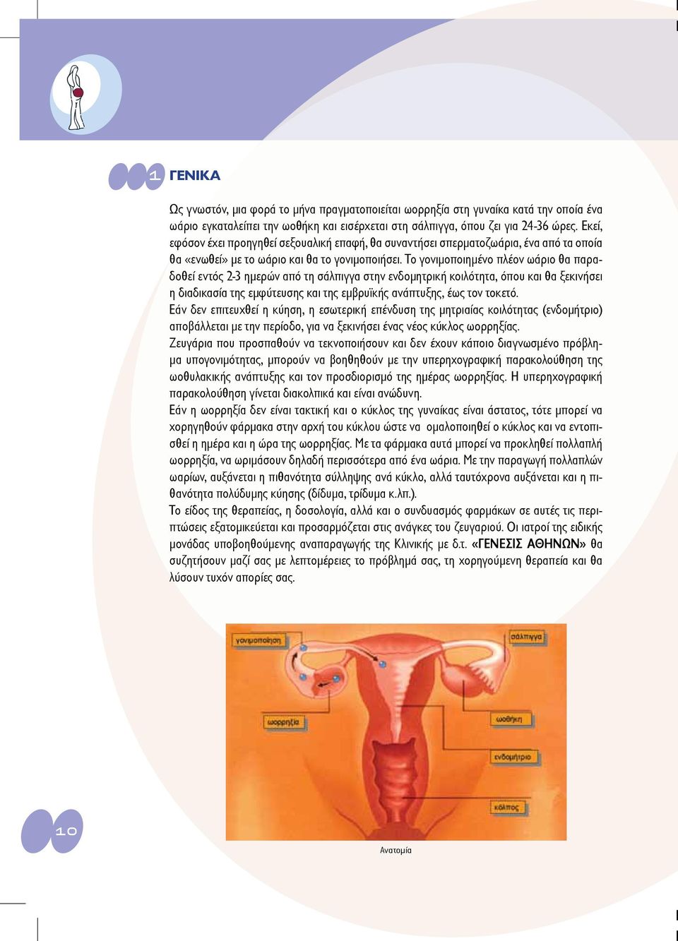 Το γονιμοποιημένο πλέον ωάριο θα παραδοθεί εντός 2-3 ημερών από τη σάλπιγγα στην ενδομητρική κοιλότητα, όπου και θα ξεκινήσει η διαδικασία της εμφύτευσης και της εμβρυϊκής ανάπτυξης, έως τον τοκετό.